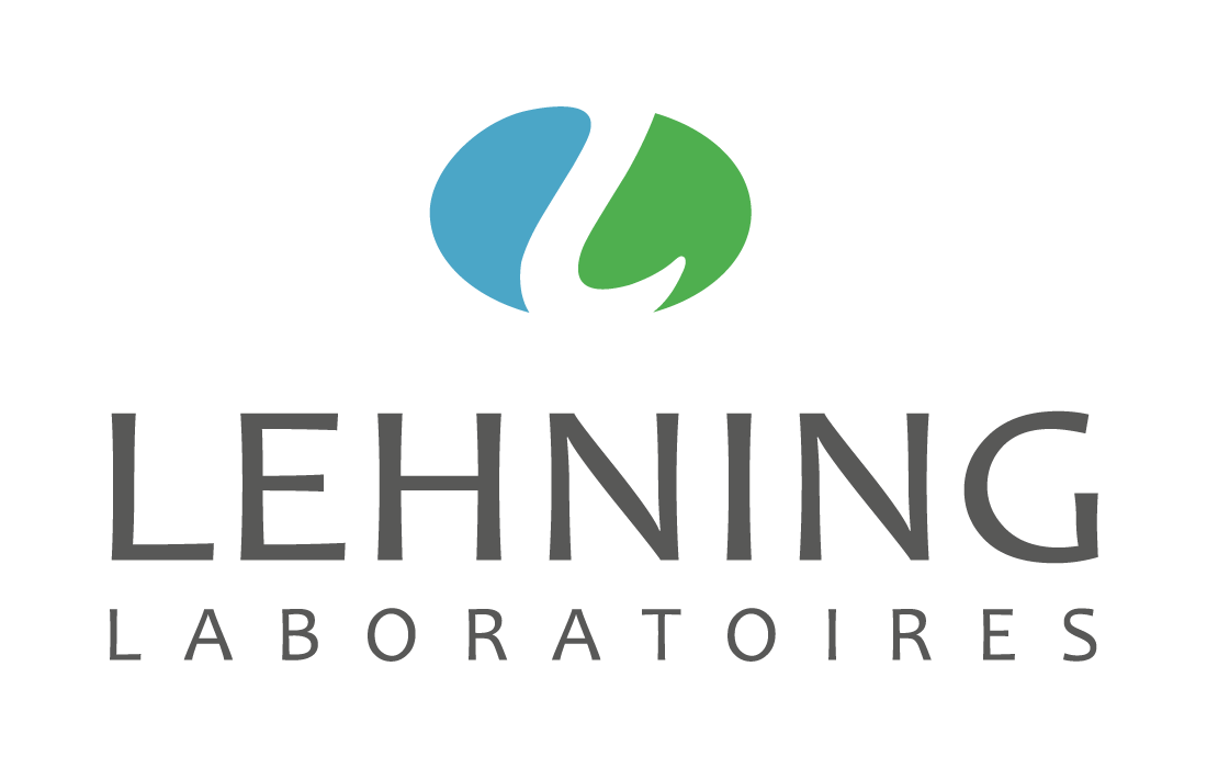 Logo Lehning